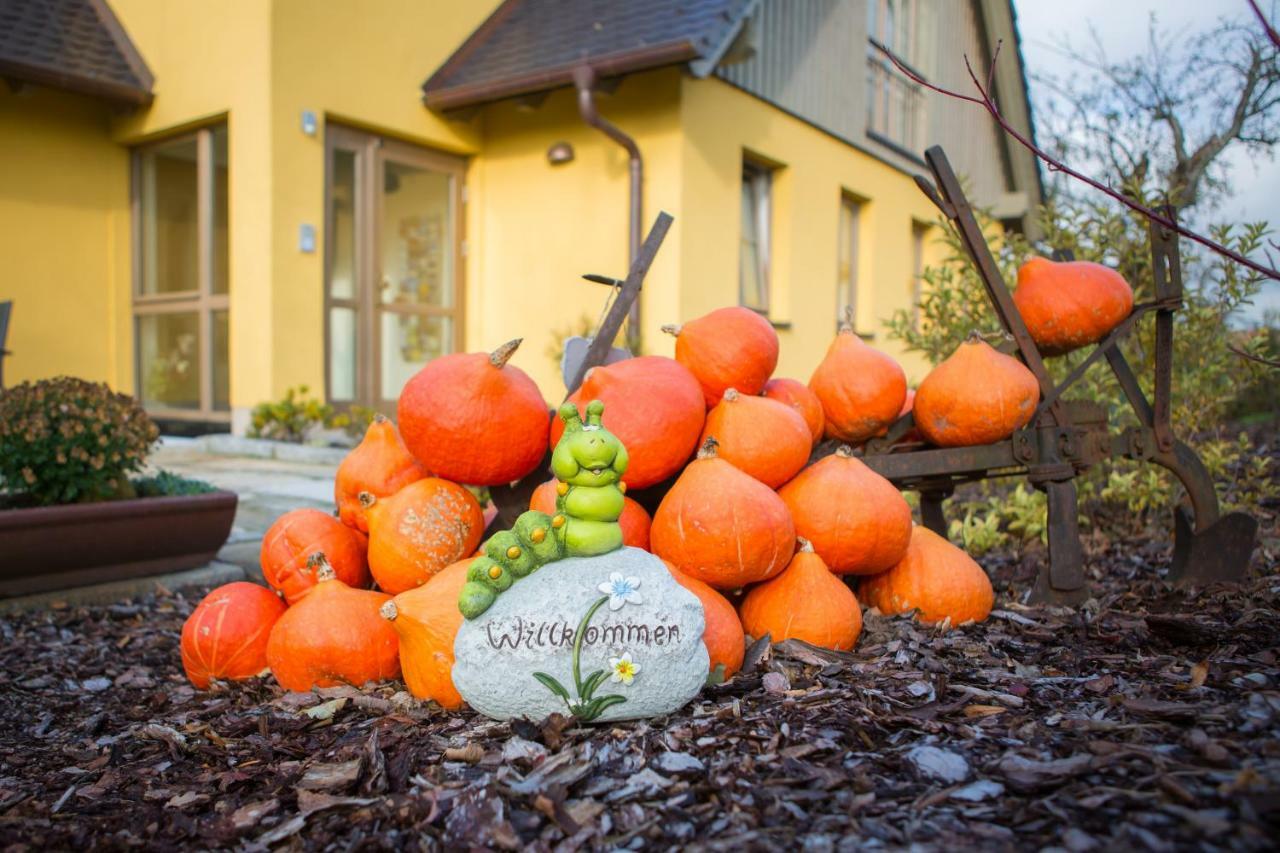 Pension Raupennest Mit Blockhaussauna Bautzen Exterior foto